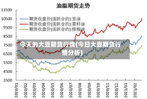 今天的大豆期货行情(今日大豆期货行情分析)