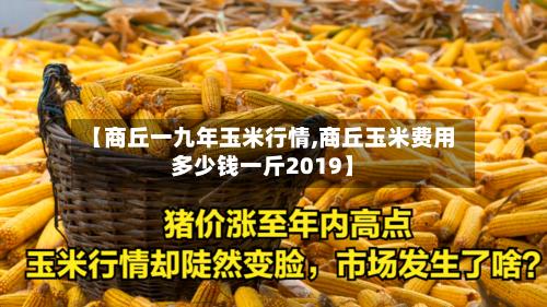 【商丘一九年玉米行情,商丘玉米费用多少钱一斤2019】