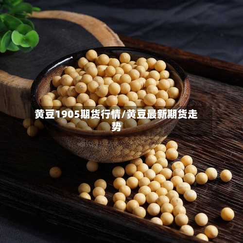 黄豆1905期货行情/黄豆最新期货走势