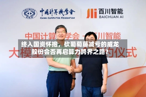 终入国资怀抱，砍葡萄藤减亏的威龙股份会否再启算力跨界之路？