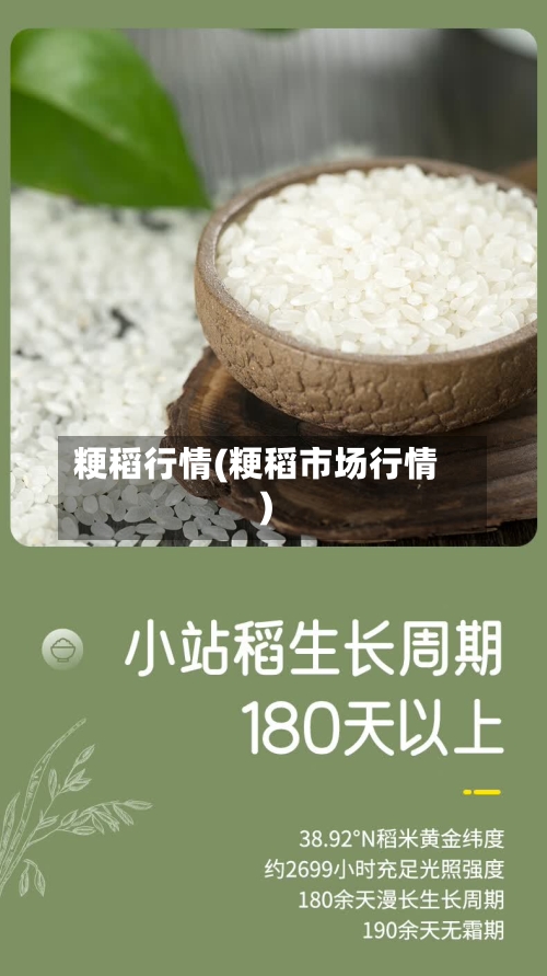 粳稻行情(粳稻市场行情)