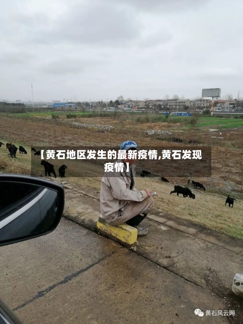 【黄石地区发生的最新疫情,黄石发现疫情】
