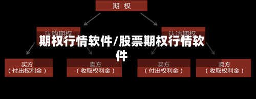 期权行情软件/股票期权行情软件
