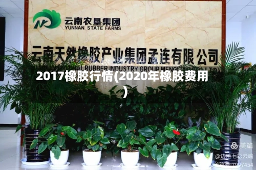 2017橡胶行情(2020年橡胶费用)