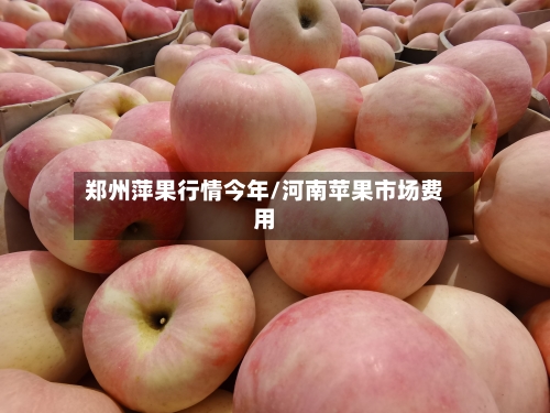 郑州萍果行情今年/河南苹果市场费用-第3张图片