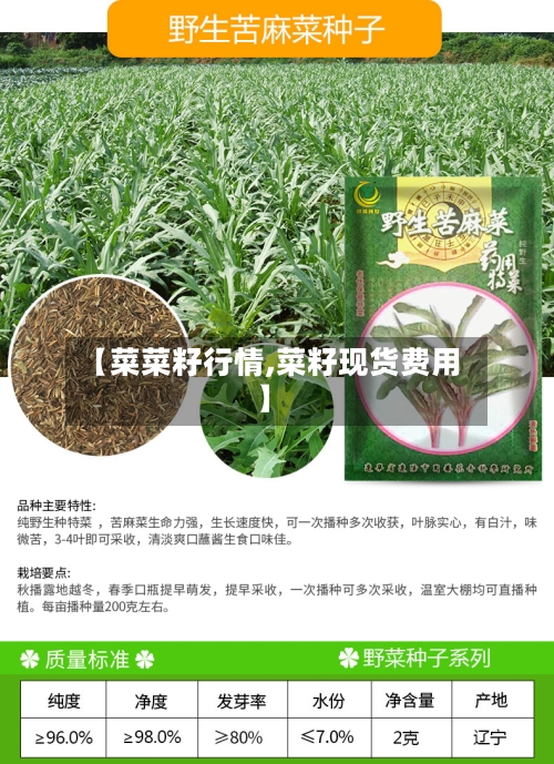 【菜菜籽行情,菜籽现货费用】
