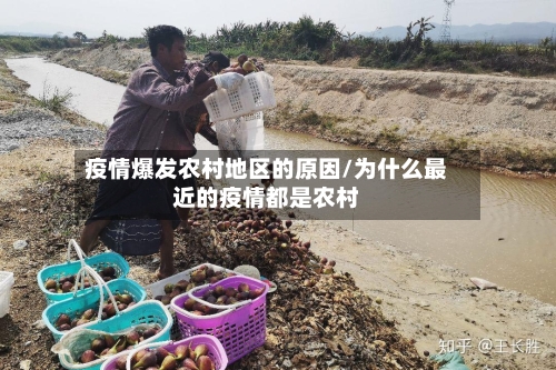 疫情爆发农村地区的原因/为什么最近的疫情都是农村-第3张图片
