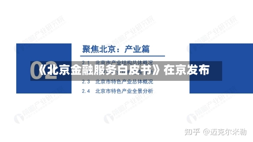 《北京金融服务白皮书》在京发布-第2张图片