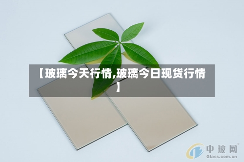 【玻璃今天行情,玻璃今日现货行情】