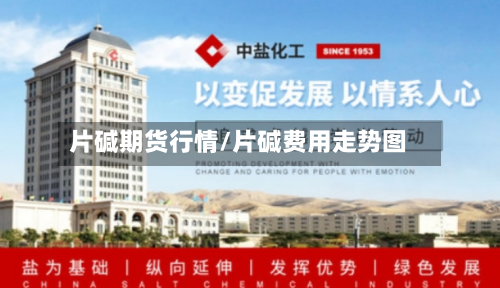 片碱期货行情/片碱费用走势图