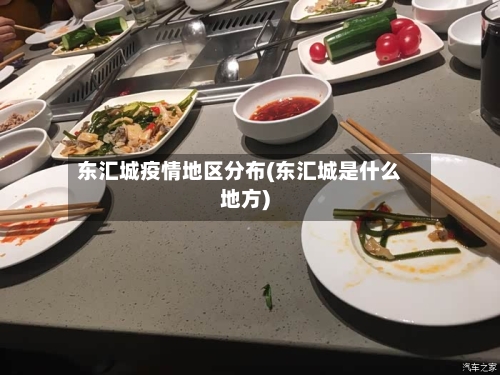 东汇城疫情地区分布(东汇城是什么地方)