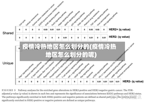疫情冷热地区怎么划分的(疫情冷热地区怎么划分的呢)