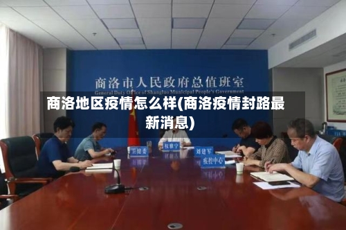 商洛地区疫情怎么样(商洛疫情封路最新消息)-第3张图片