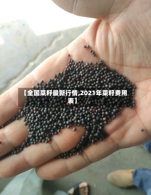 【全国菜籽最新行情,2021年菜籽费用表】