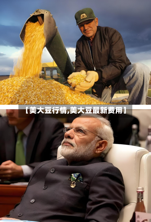 【美大豆行情,美大豆最新费用】-第3张图片