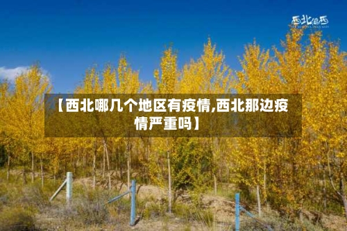 【西北哪几个地区有疫情,西北那边疫情严重吗】