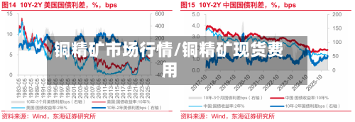 铜精矿市场行情/铜精矿现货费用-第2张图片