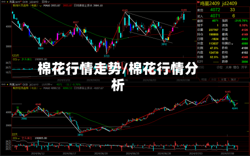 棉花行情走势/棉花行情分析