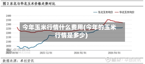 今年玉米行情什么费用(今年的玉米行情是多少)-第3张图片