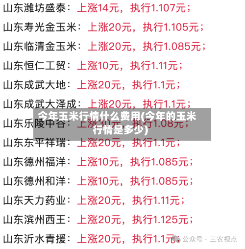 今年玉米行情什么费用(今年的玉米行情是多少)