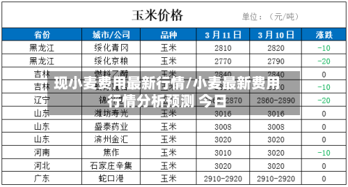 现小麦费用最新行情/小麦最新费用行情分析预测 今日-第2张图片
