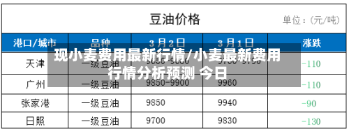 现小麦费用最新行情/小麦最新费用行情分析预测 今日