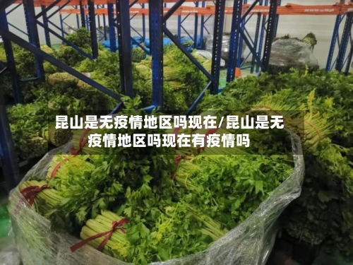 昆山是无疫情地区吗现在/昆山是无疫情地区吗现在有疫情吗-第3张图片