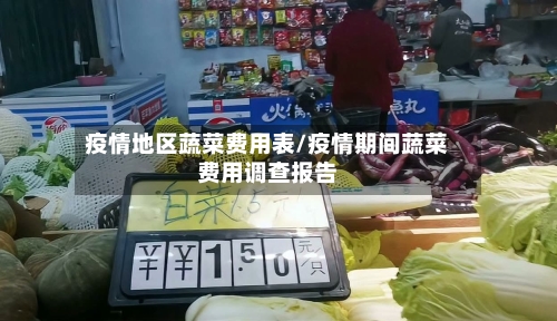 疫情地区蔬菜费用表/疫情期间蔬菜费用调查报告