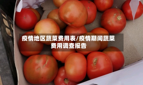 疫情地区蔬菜费用表/疫情期间蔬菜费用调查报告-第2张图片