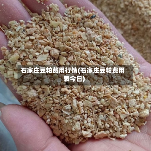 石家庄豆粕费用行情(石家庄豆粕费用表今日)-第2张图片