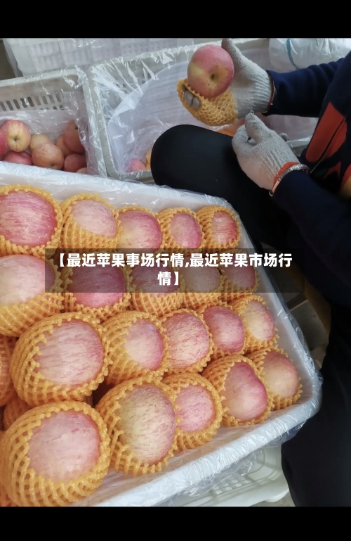 【最近苹果事场行情,最近苹果市场行情】-第2张图片