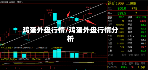 鸡蛋外盘行情/鸡蛋外盘行情分析-第2张图片