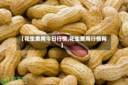 【花生费用今日行情,花生费用行情网】-第2张图片