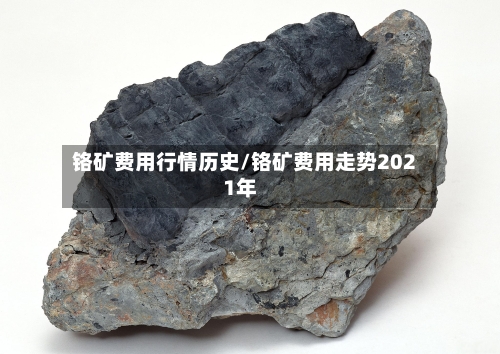 铬矿费用行情历史/铬矿费用走势2021年