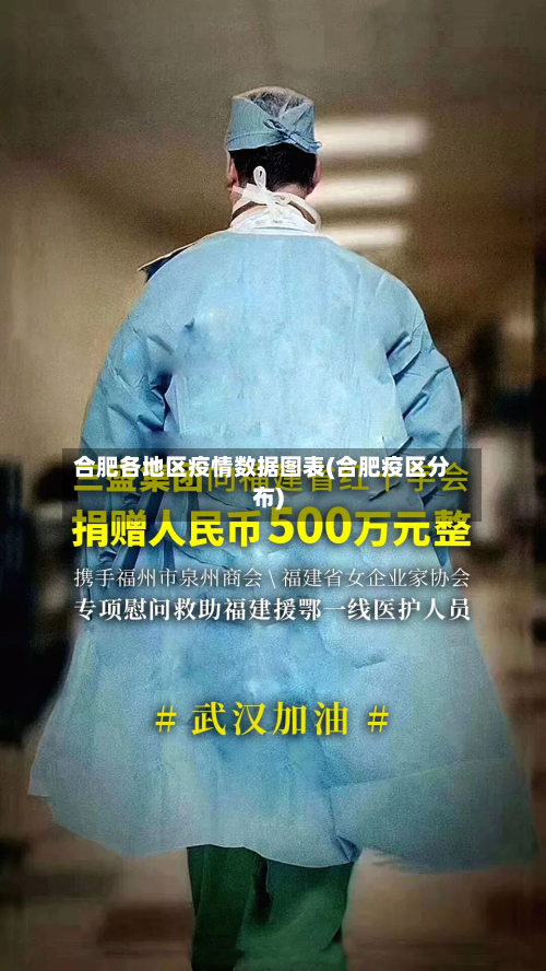 合肥各地区疫情数据图表(合肥疫区分布)
