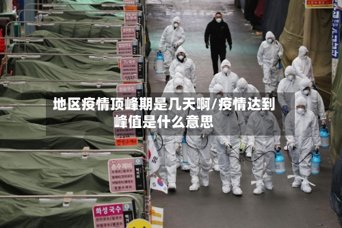 地区疫情顶峰期是几天啊/疫情达到峰值是什么意思-第2张图片