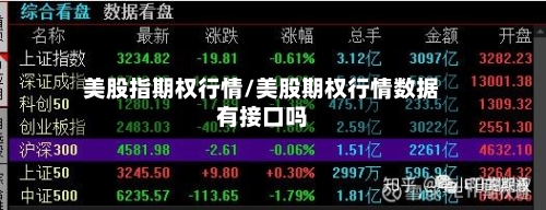 美股指期权行情/美股期权行情数据有接口吗-第2张图片