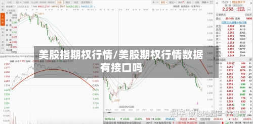 美股指期权行情/美股期权行情数据有接口吗
