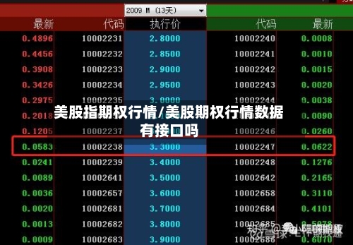 美股指期权行情/美股期权行情数据有接口吗-第3张图片