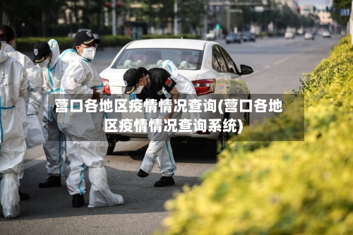 营口各地区疫情情况查询(营口各地区疫情情况查询系统)-第3张图片