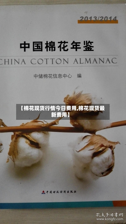 【棉花现货行情今日费用,棉花现货最新费用】-第2张图片