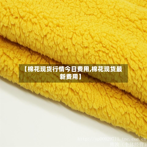 【棉花现货行情今日费用,棉花现货最新费用】