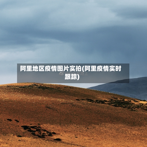 阿里地区疫情图片实拍(阿里疫情实时跟踪)-第2张图片