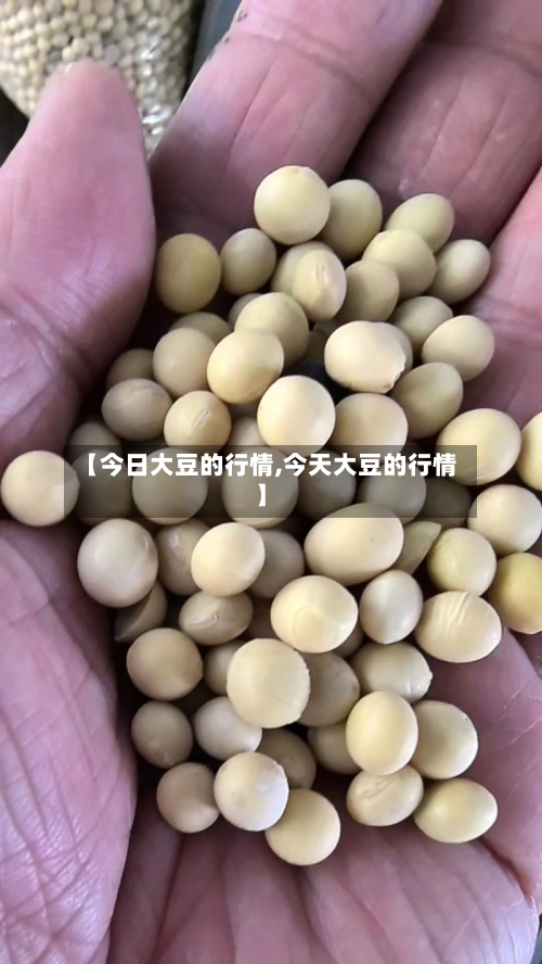 【今日大豆的行情,今天大豆的行情】-第3张图片