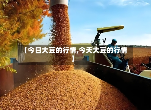 【今日大豆的行情,今天大豆的行情】-第2张图片
