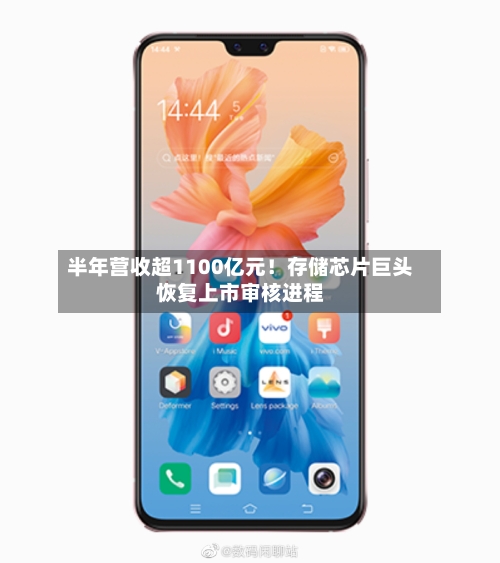 半年营收超1100亿元！存储芯片巨头恢复上市审核进程