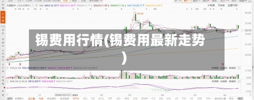 锡费用行情(锡费用最新走势)