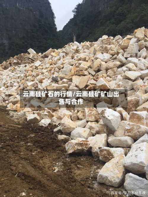 云南硅矿石的行情/云南硅矿矿山出售与合作