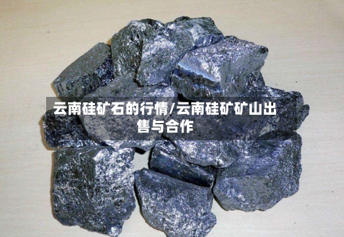 云南硅矿石的行情/云南硅矿矿山出售与合作-第2张图片