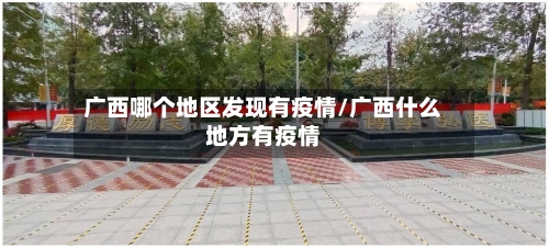 广西哪个地区发现有疫情/广西什么地方有疫情-第3张图片